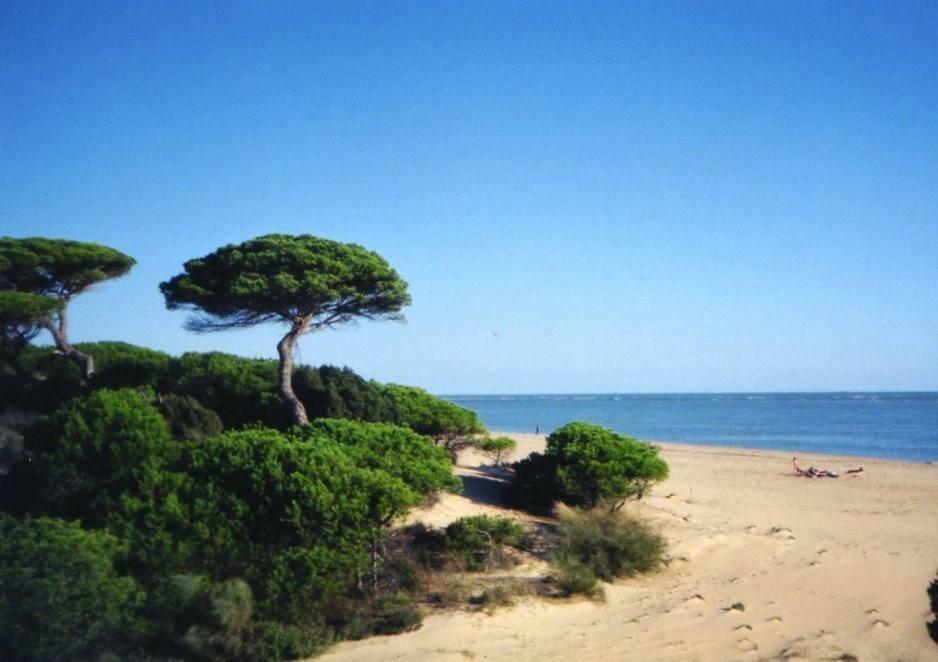 Atico Del Portil 아파트 외부 사진
